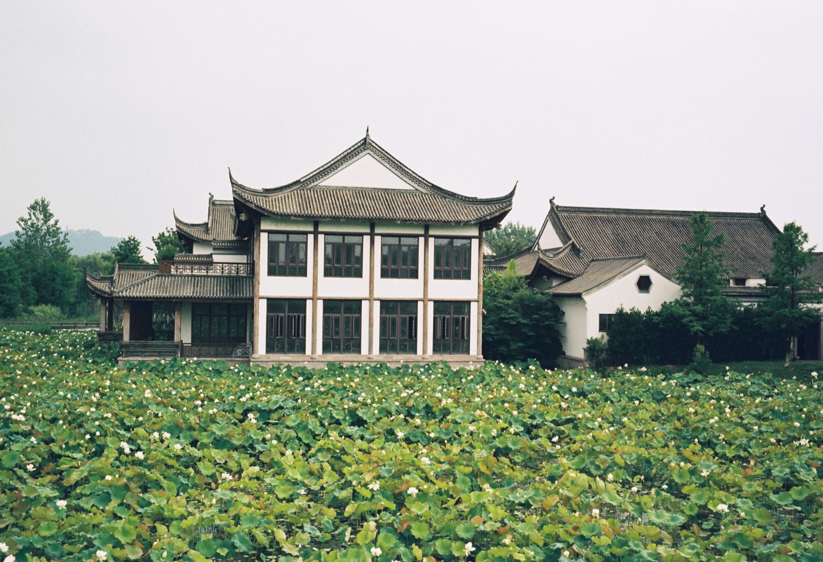 街头信号